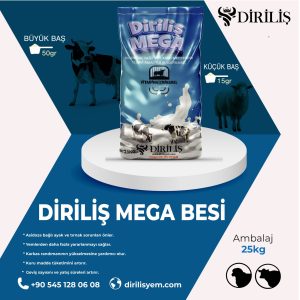 Diriliş Megabesi