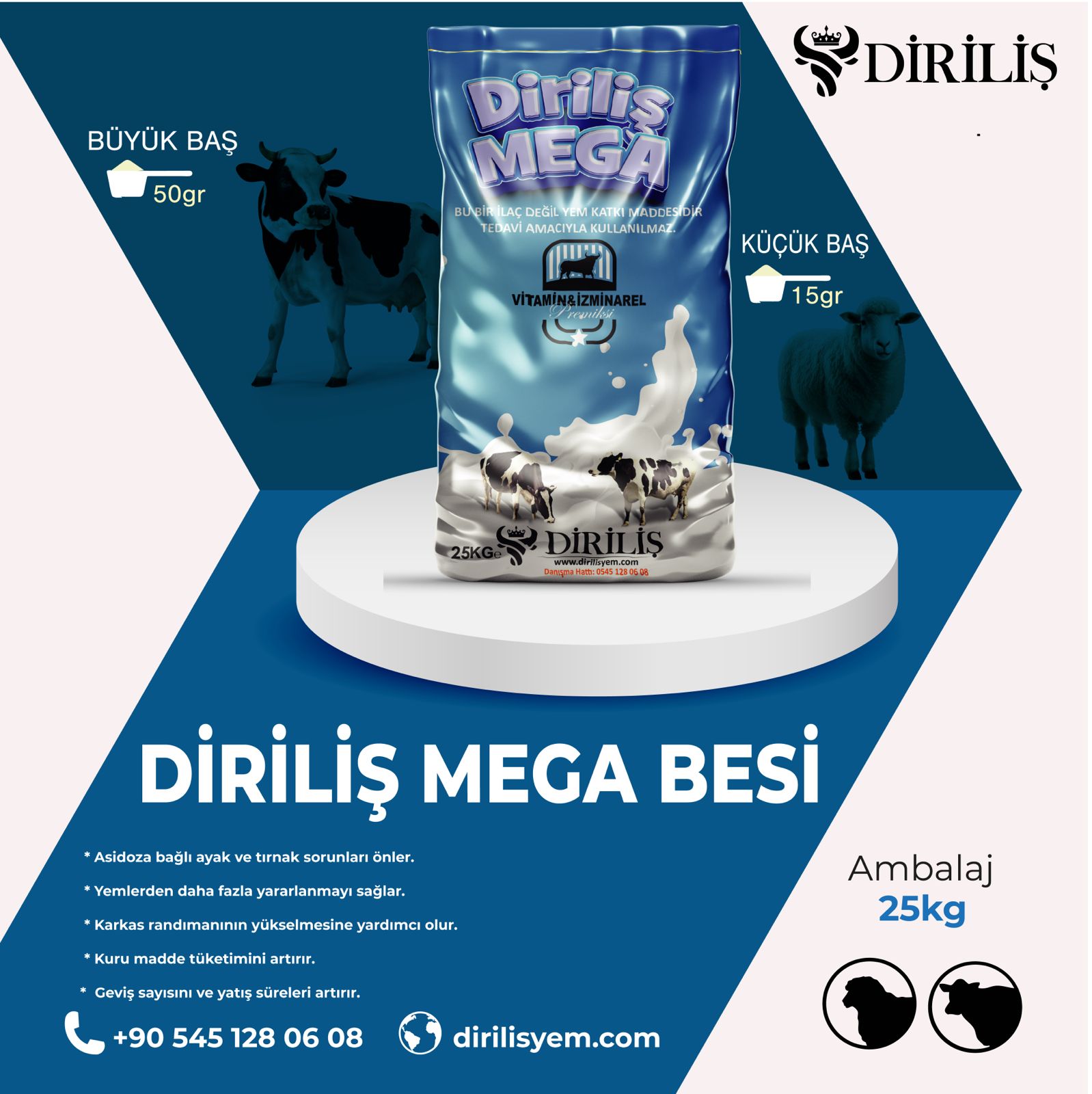 Diriliş Megabesi - Görsel 2