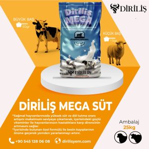 Diriliş Megasüt