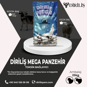 Diriliş Megapanzehir