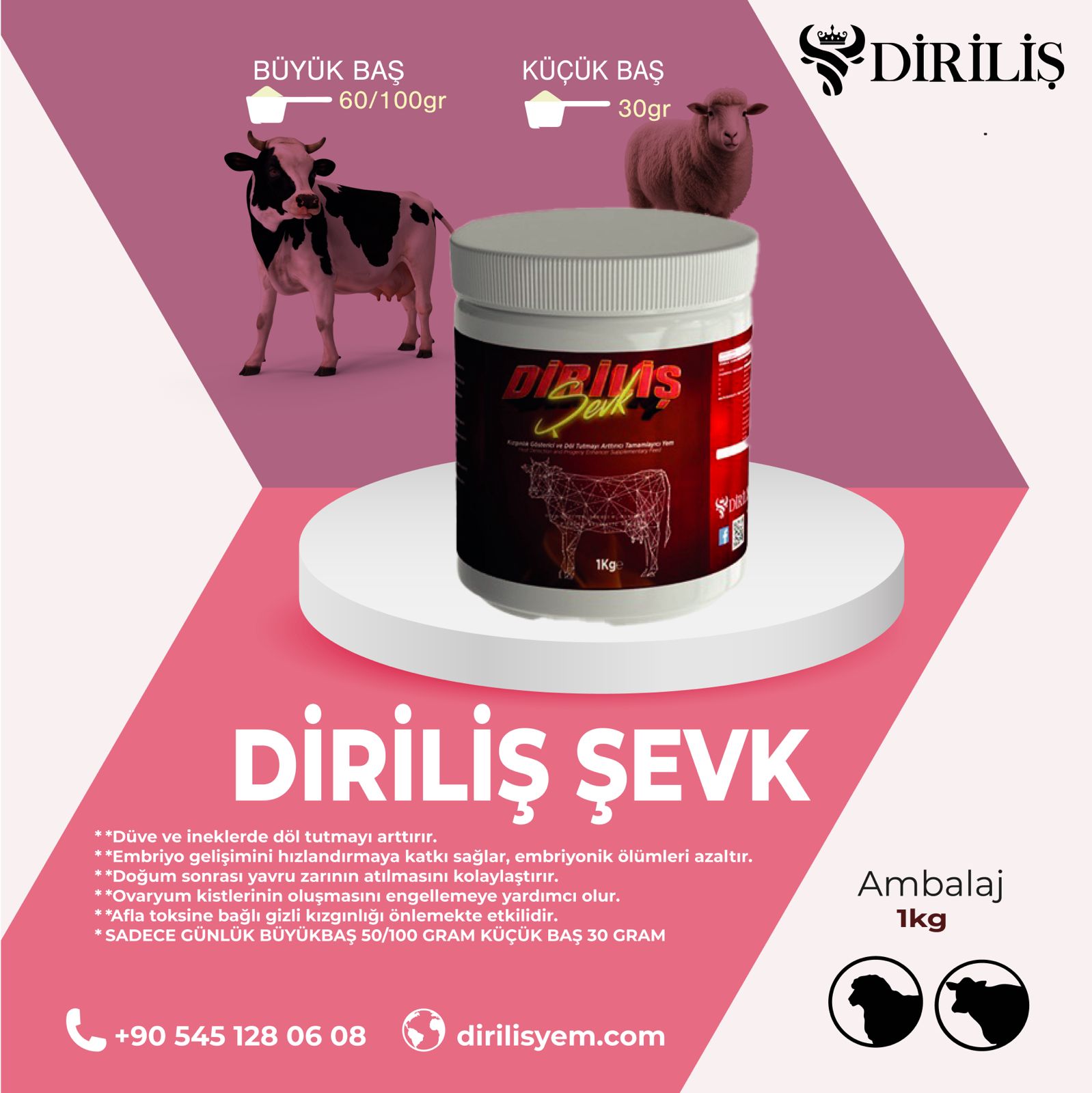 Diriliş Şevk - Görsel 2