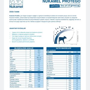 DİRİLİŞ Nukamel Protego(Buzağı Maması 25 kg Ilk 15 Gün )