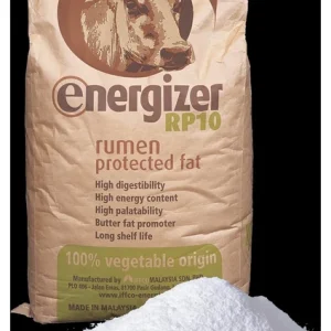 Diriliş Energizer RP10 Bypass Fraksiyonize Yağ 25 kg (Bitkisel )