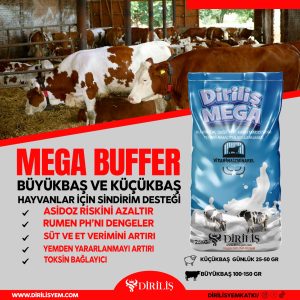 DİRİLİŞ MEGABUFFER 25 KG