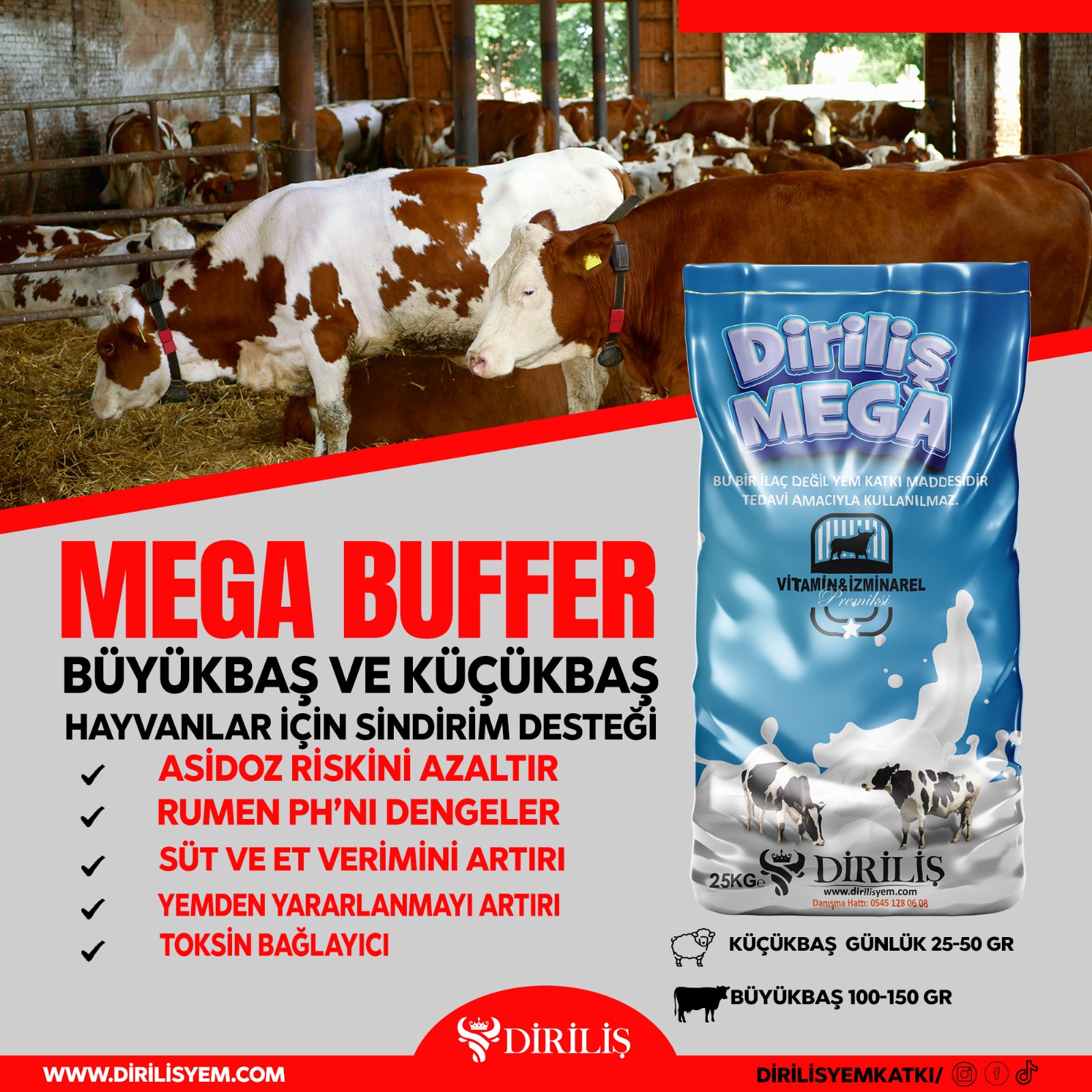 DİRİLİŞ MEGABUFFER 25 KG